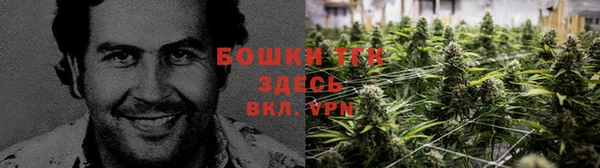 ешки Верхний Тагил