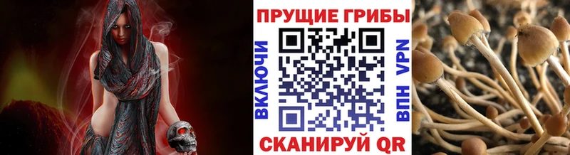 Галлюциногенные грибы MAGIC MUSHROOMS  Владивосток 